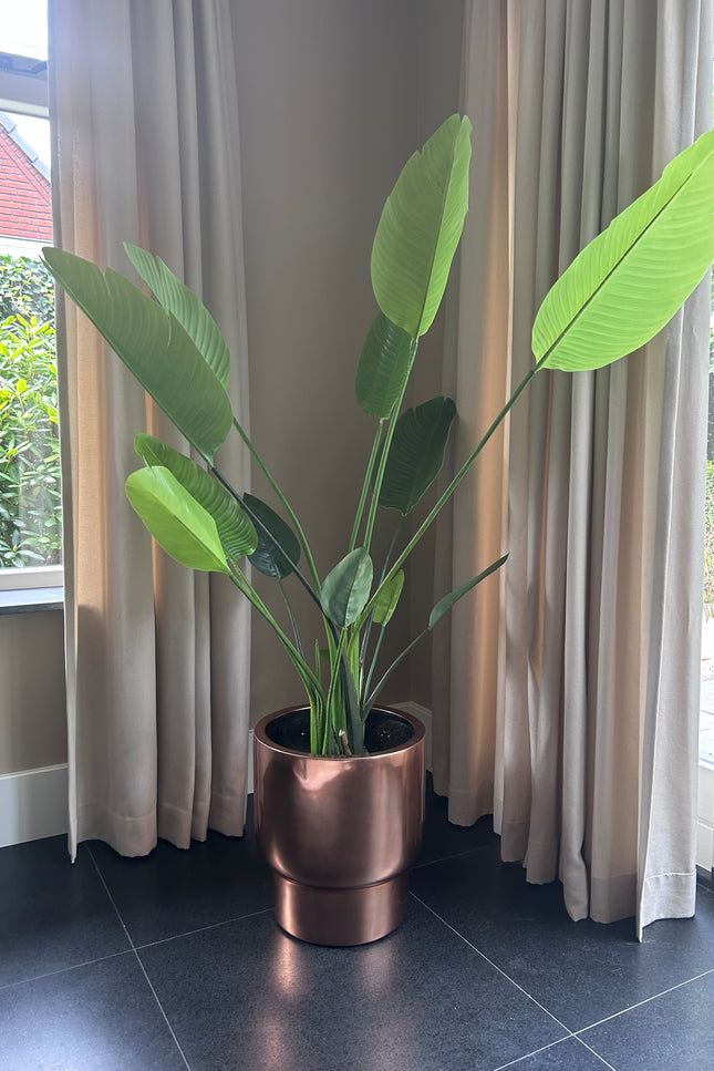Kunstplant strelitzia nicolai | 150 cm