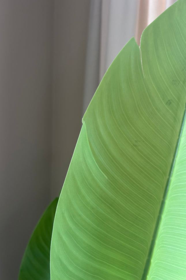 Kunstplant strelitzia nicolai | 150 cm