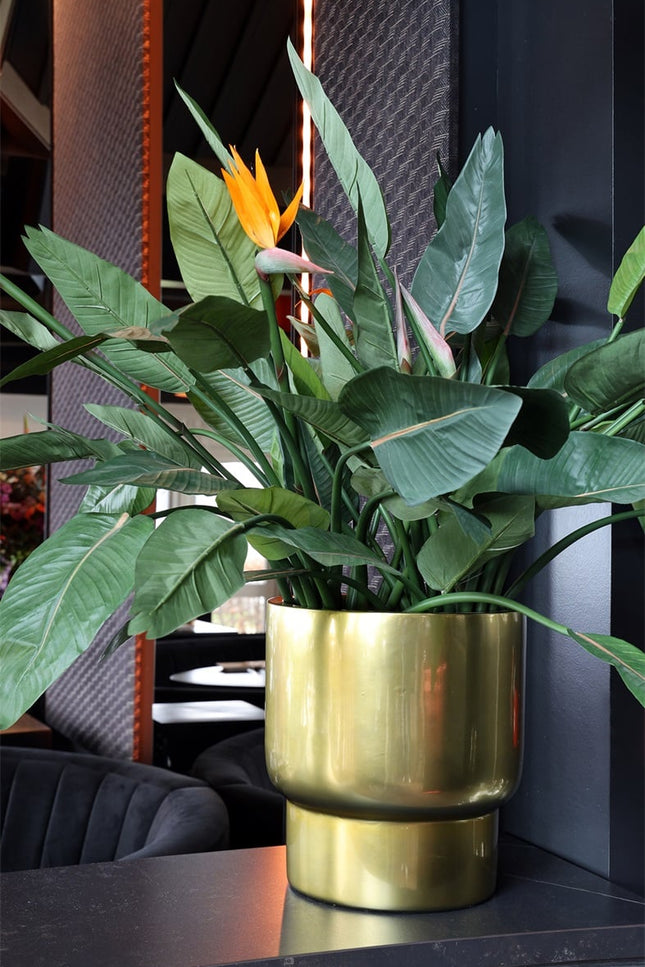 Pot goud | The FlowerField