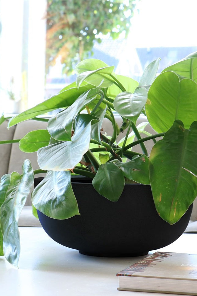 Pot zwart S | The FlowerField