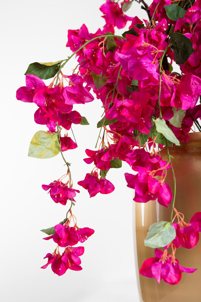 Boeket Bougainvillea | The FlowerField