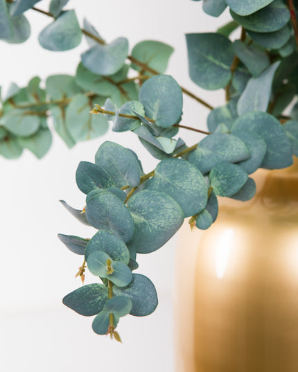 Boeket Eucalyptus | The FlowerField