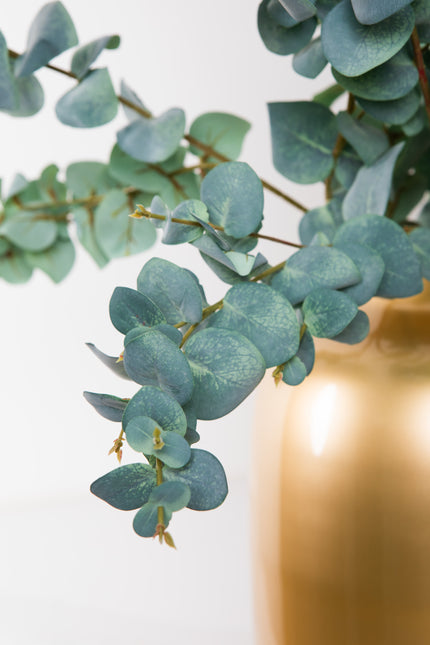 Boeket Eucalyptus | The FlowerField