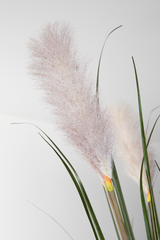 Boeket Grass | The FlowerField