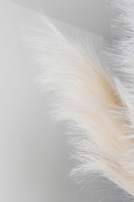 Boeket Pampas Wit | The FlowerField