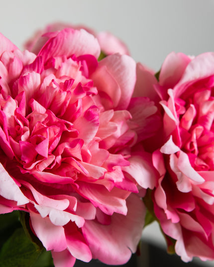Boeket Peony Roze| The FlowerField