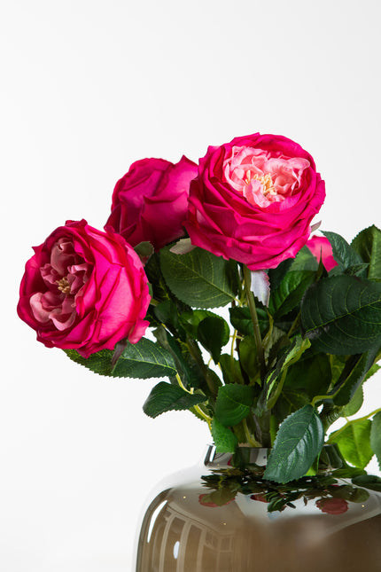 Boeket Rose Fuchsia | The FlowerField