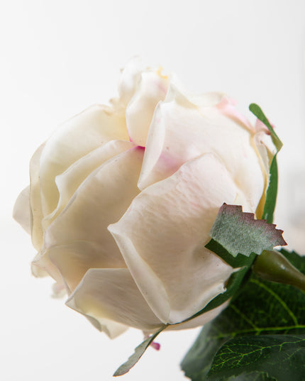 Boeket Rose Wit | The FlowerField