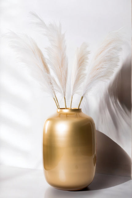 Boeket Pampas Wit | The FlowerField