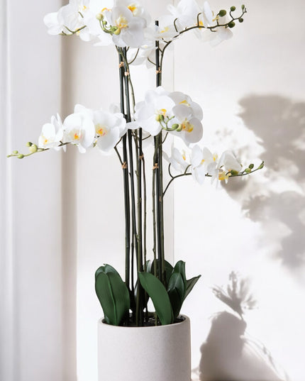 Orchidee kunstplant | Wit