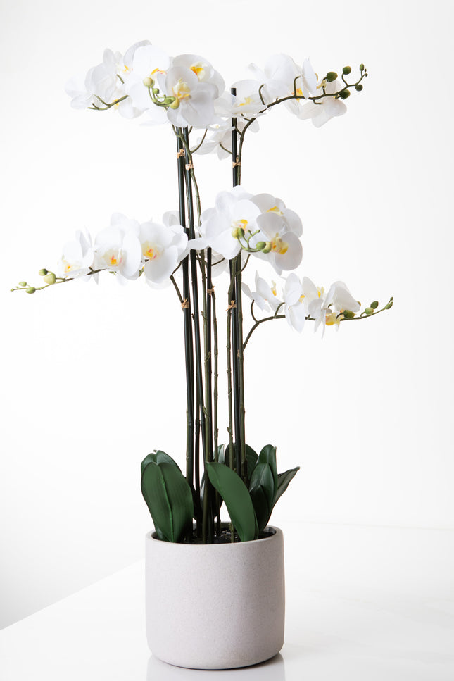 Orchidee Kunstplant Wit | The FlowerField