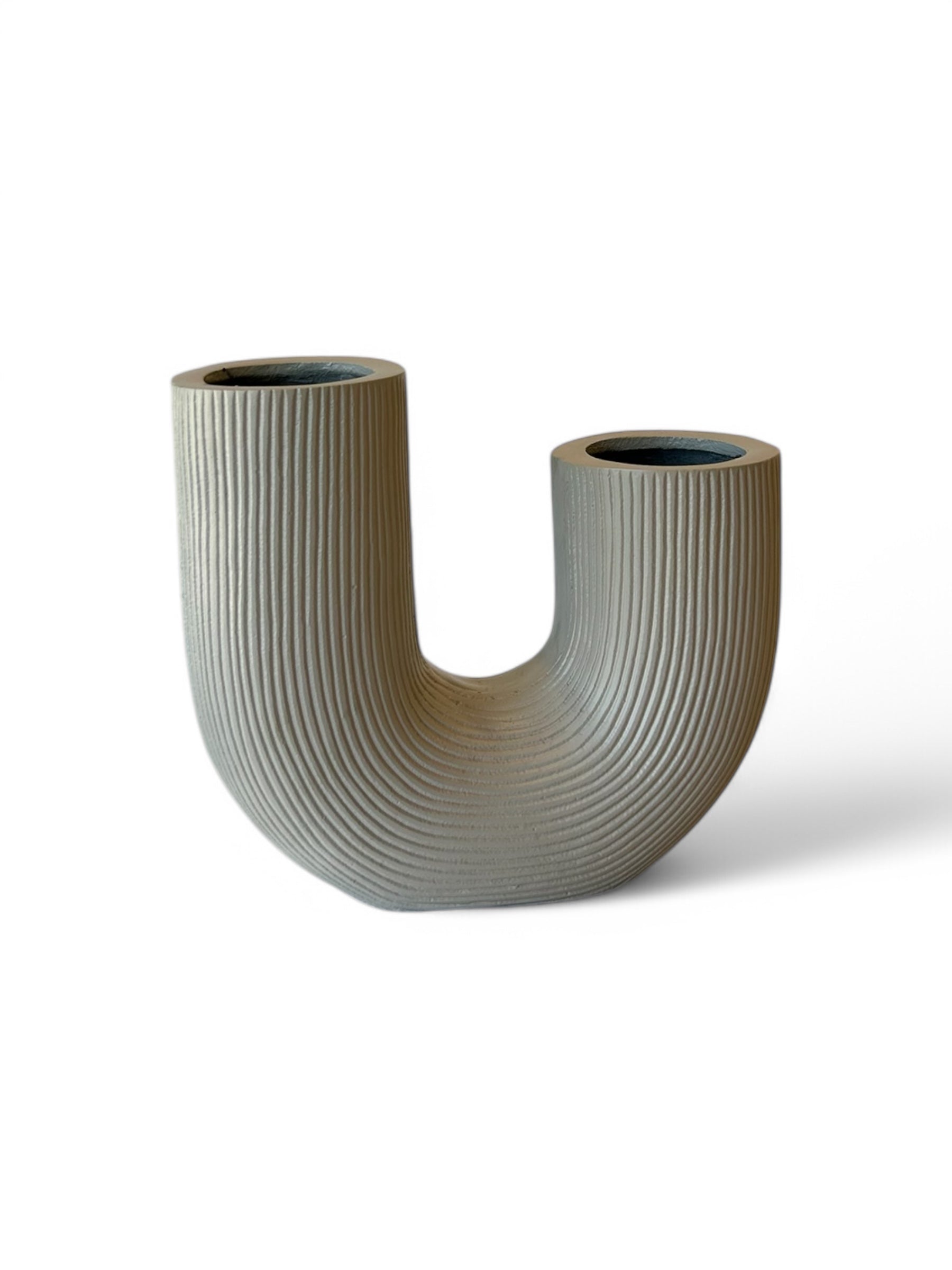 Vaas Cachni | The FlowerField